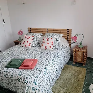 Séjour chez l'habitant Gentil Coquelicot, Mirepoix (Ariege)